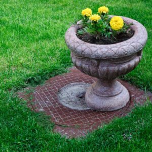 Large Plant Pot Removal Service in London
